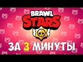 ВЕСЬ BRAWL STARS ЗА 3 МИНУТЫ!