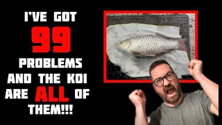 Major PROBLEMS with the koi  Stubborn parasites and endless pond treatments!