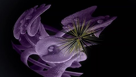 Strange Attractor three