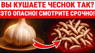 Эти 10 СМЕРТНЫХ Ошибок С Чесноком Опасны Для Здоровья СОСУДОВ / ЗДОРОВЬЕ ПОЖИЛЫХ