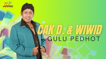 Cak Diqin & Wiwid - Gulu Pedhot (Official Music Video)