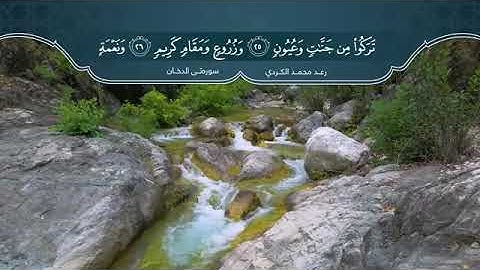 سورة الدخان كاملة -  رعد الكردي