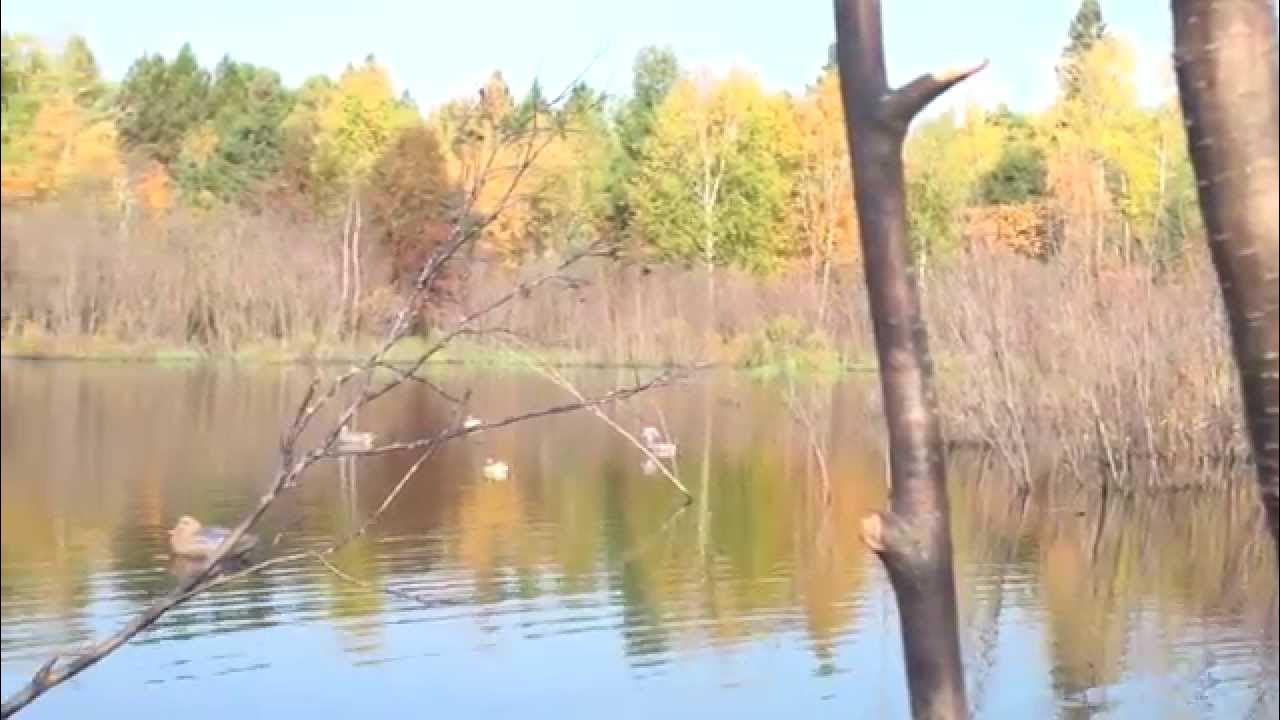 Duck Hunting Wisconsin Northern Duck Opener 2014 Hardline Outdoors YouTube