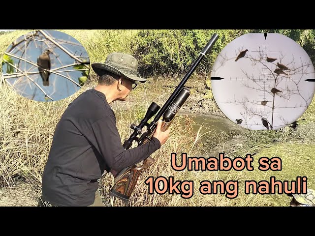 Airgun Bird Hunting Ph class=