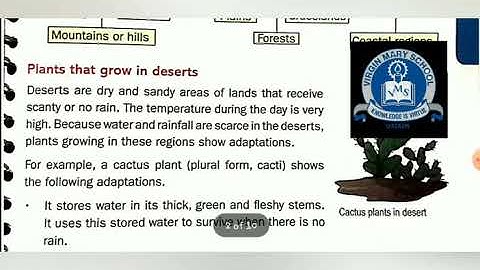 Class 4 Science Chapter 2- Part 1