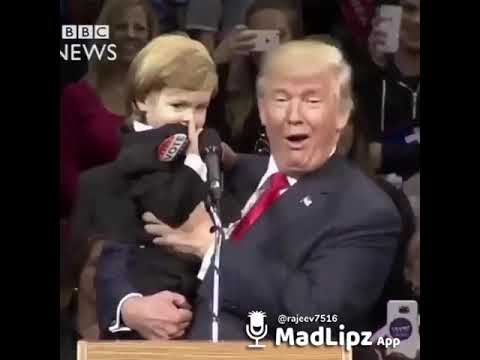 Donald trump madlipz