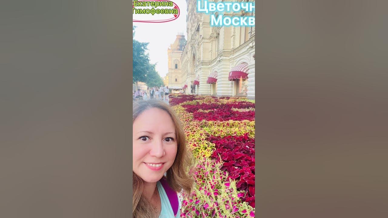 Городские цветы в москве. Цветники в городе. Цветы в москве на улицах. Мой цветок москва. Москва лето 2022.