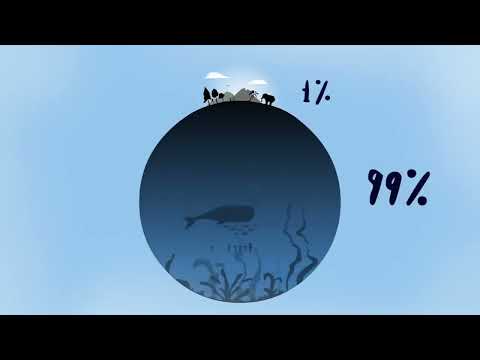 How Big Is The Ocean Scott Gass