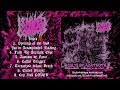 18 NAKED COWBOYS - CULT OF AZATHOTH [OFFICIAL ALBUM STREAM] (2019) SW EXCLUSIVE