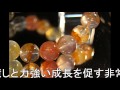 パワーストーン！錦鯉水晶