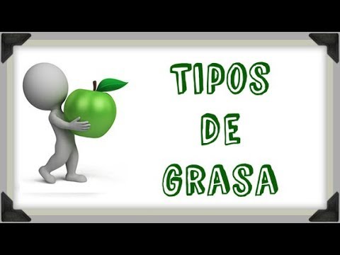 Tipos de Grasa: Saturada, Monoinsaturada, Poliinsaturada, Trans y Omega 3 y 6