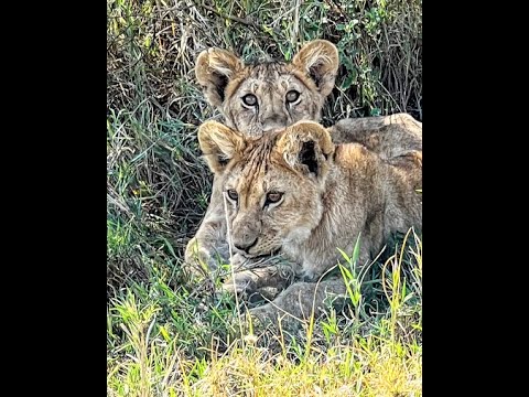 Kenya & Tanzania Safari: Memories of Overseas Adventure Travel (OAT) Tour --  Fall 2022