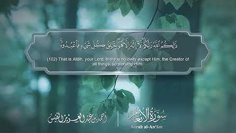 سورة الأنعام -  Surat Al-An'am 006 -  الشيخ أحمد النفيس