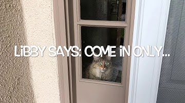 My 4x8 x 2 HO Layout - JMRI Script Details Part 1 - Overview and Master Control Script