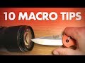 My 10 Best Macro Photography Tips for Beginners