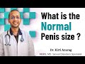 What is the normal penis size  facts and myths explained by dr kirti anurag mesolvesenglish