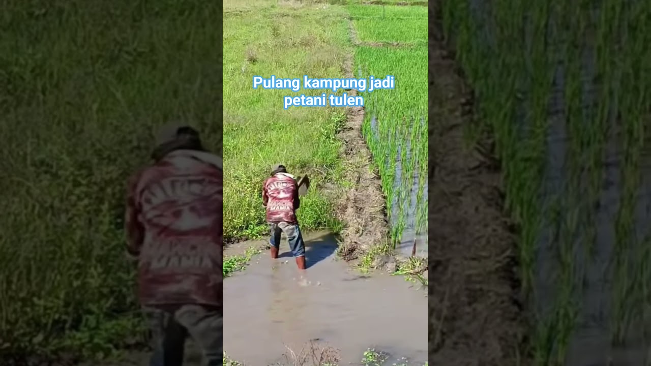 Sunat adalah ibadah