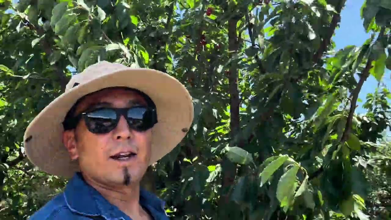 کمی با تاخیر ، روز مادر خجسته باد ،تجربه قشنگ و پر هیجان امروز ام 😍😊😁