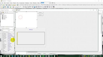 удаление лишнего текста из компонентов делфи программирование
