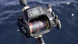 Tanacom Electric Reels – Daiwa NZ