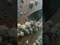 ASMR: Scraping Barnacles on the Underwater Ship. 😌⚓