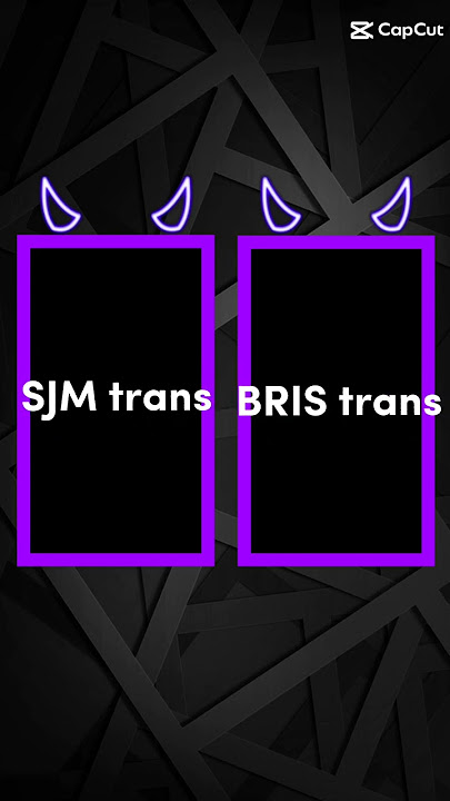 jedak jeduk bis SJM TRANS RATU MAHER DAN BRIS TRANS TUAN MUDA STYLE