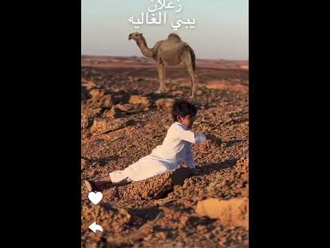 زعلان يبي الغالية طراد اكسبلور سكاكا الجوف فانز يوميات ترند بدر