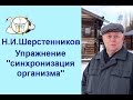 Шерстенников. Упражнение «синхронизация организма» показывает Н.И. Шерстенников.