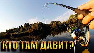 КАК УГОВОРИТЬ СУДАКА И ПОЙМАТЬ СОМА. Рыбалка. Fishing