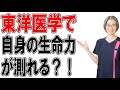 東洋医学で自分の生命力が計れる？！　（札幌 自律神経）