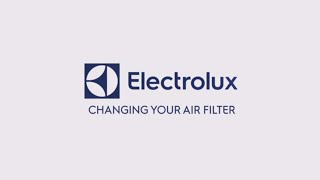 electrolux icon air filter replacement