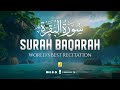 Relaxing surah al baqarah full    touching voice  zikrullah tv