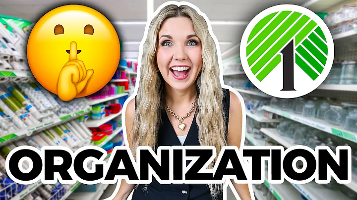 Organize your ENTIRE house with Dollar Tree items! thumbnail