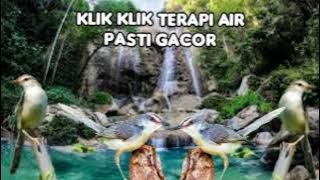 klik gacor masteran terapi air