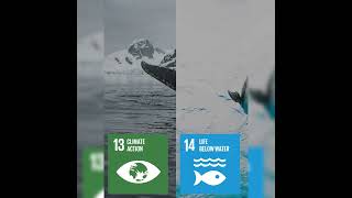 Do you know all 17 SDGs?