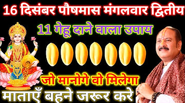 17 दिसंबर पौषमास मंगलवार द्वितीया तिथि को 11 गेहूं के दाने वाला उपाय जरूर करे || Pradeep Ji Mishra