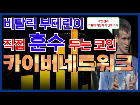   카이버네트워크 KNC 이더리움 창시자가 직접 훈수 두는 코인 ㅋㅋ 카이버네트워크 앞으로 전망과 분석