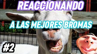 LAS MEJORES BROMAS #2 ESTAN MUY DIVERTIDAS 🤣😂 |REACCIONADO EL SEPU #bromas #prank #fypシ #fyp #humor