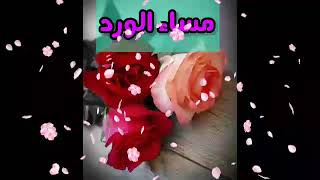 مساء الورد