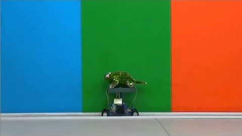 The chameleon robot that can change colour as it moves