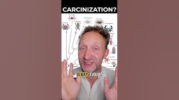 Carcinization is overrated! #evolution #science #convergence