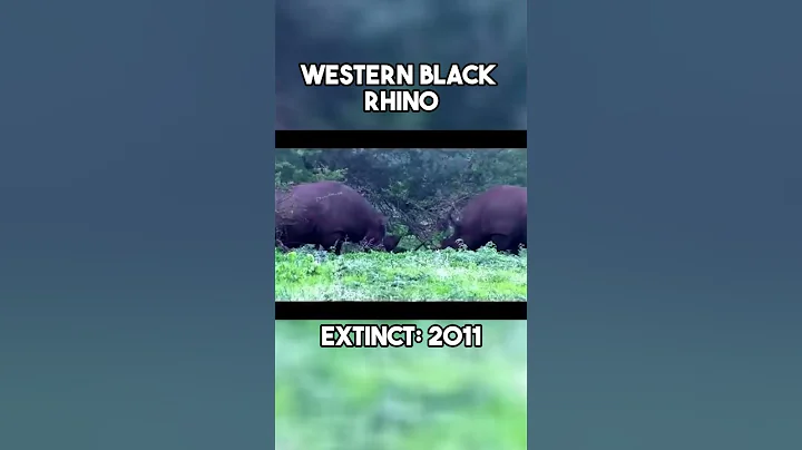 Last Videos of 5 Extinct Animals