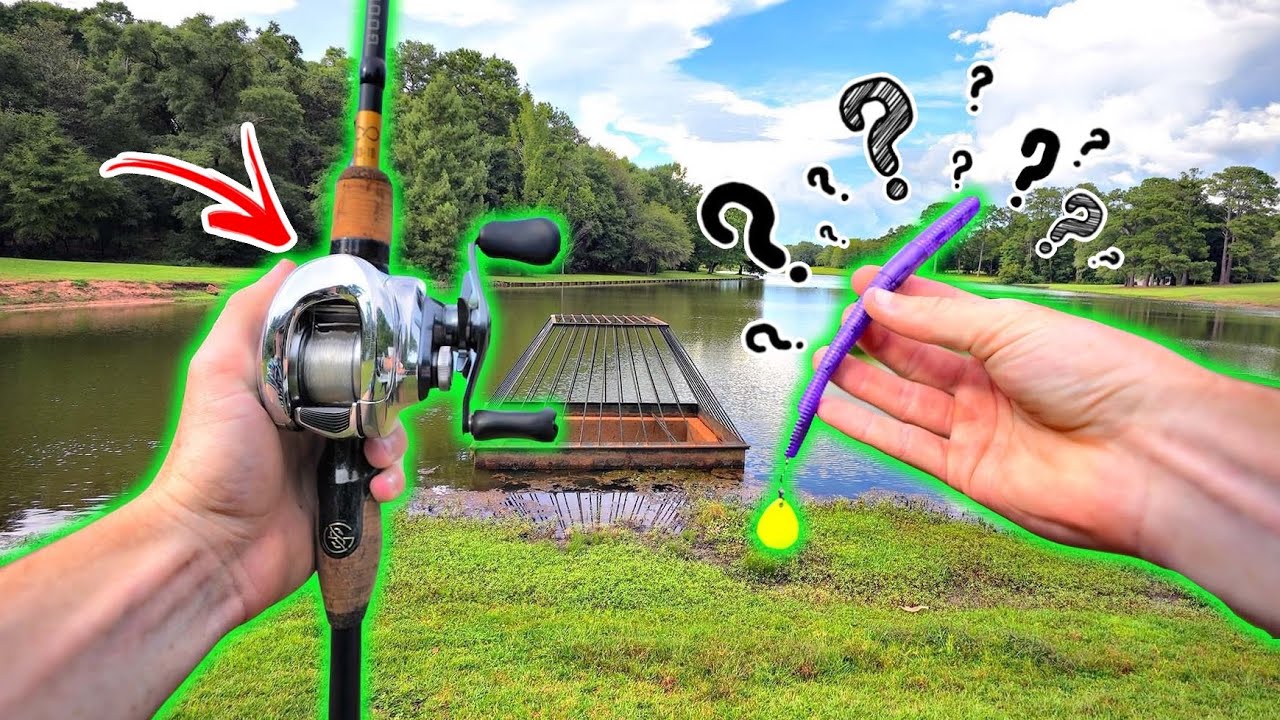 Is This The CRAZIEST New Fishing Lure (Mystery Box) YouTube