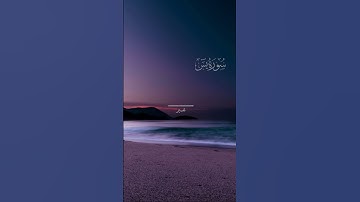 ياحسرةً على العباد/سورة يس/القارئ شريف مصطفى 🍀