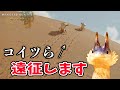 【ワイルズ環境生物】アシアトノコシの行動を追跡調査してみました【4K映像】