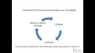 Flex Your MS Muscle to Remain Mobile - MS Focus Teleconference - March 5, 2019