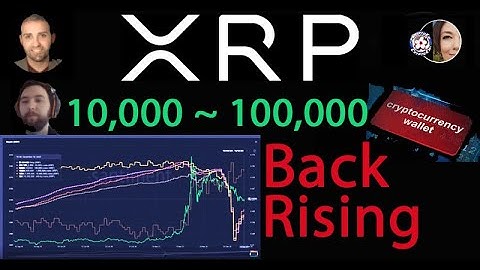 Santiment Shares which XRP Wallets back rising & other metrics from before & after Flare Snap Shot
