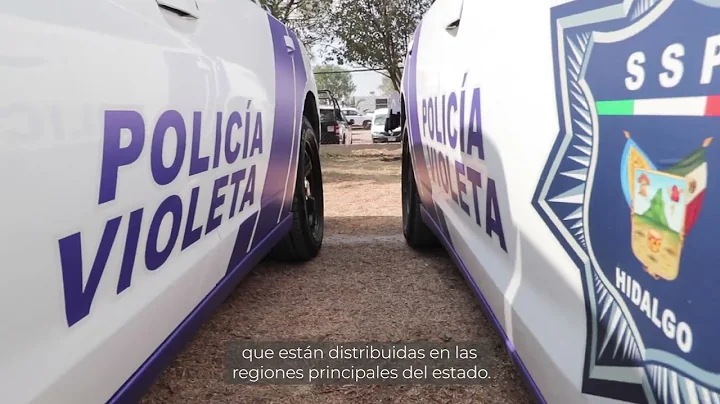 Crean en Hidalgo "La Polica Violeta"