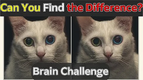 Test Your Brain! Only Sharp Eyes Can Find These Cat Differences