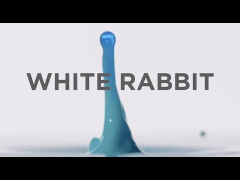 Black Note Graffiti®, Vol. 3. Rise - White Rabbit (lyric video)